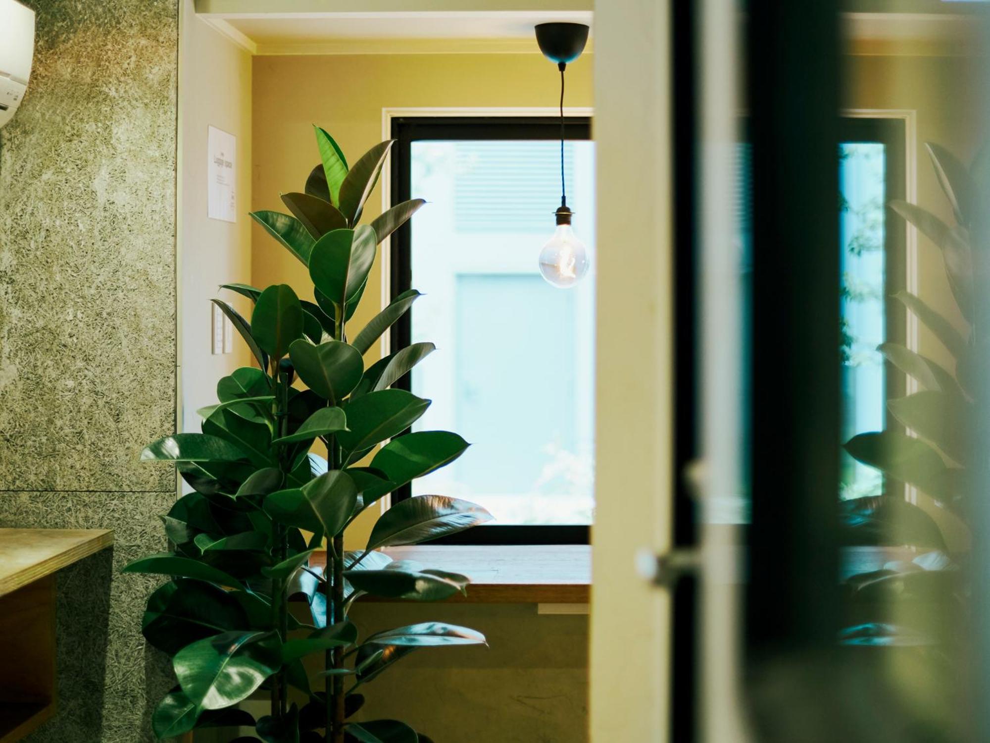 טוקיו Akasaka Guesthouse Hive מראה חיצוני תמונה